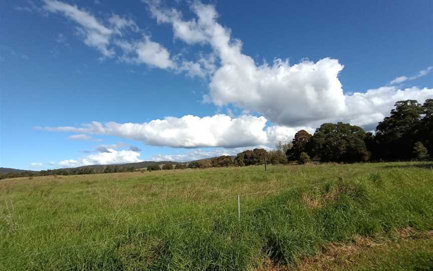 Panboola Wetlands, Pambula, NSW