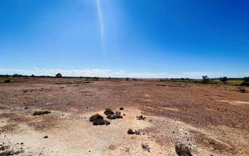 Peery Lake picnic area, Wilcannia, NSW