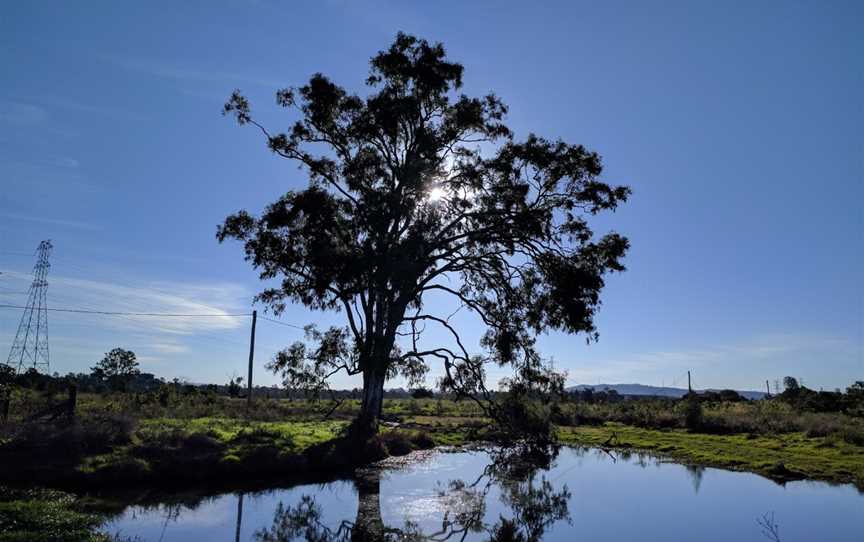 Pelican Point River Walk, Thargomindah, QLD