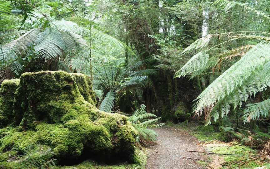 Philosopher Falls, Waratah, TAS