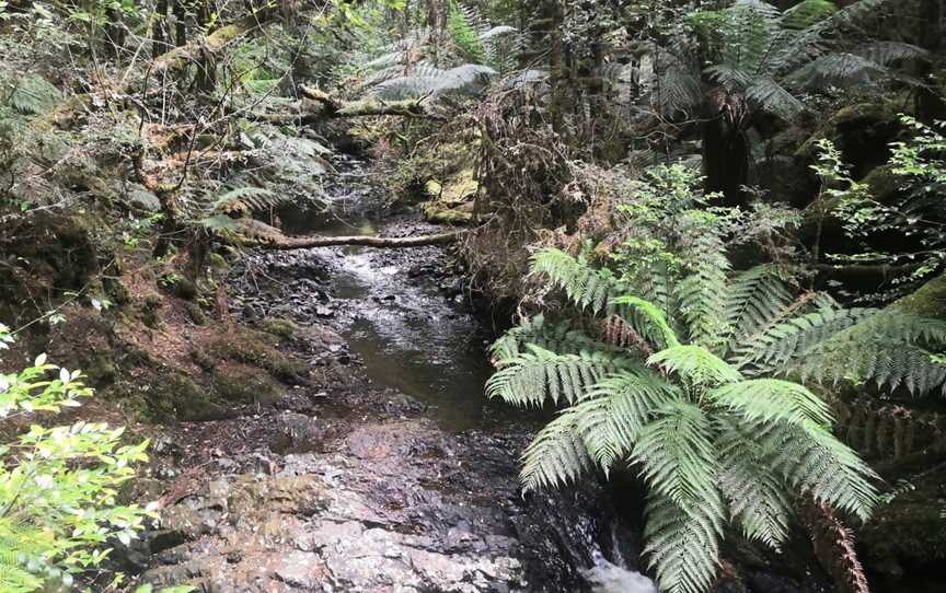 Philosopher Falls, Waratah, TAS