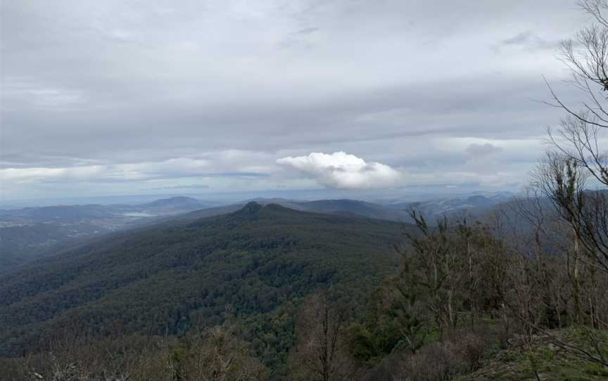 Pieries Peak Walking Track, Mount Royal, NSW