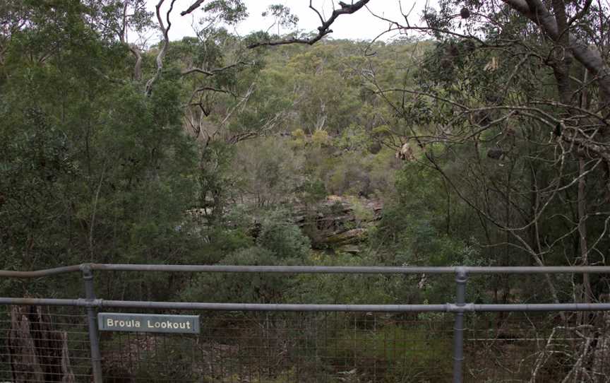 Piles Creek loop, Somersby, NSW