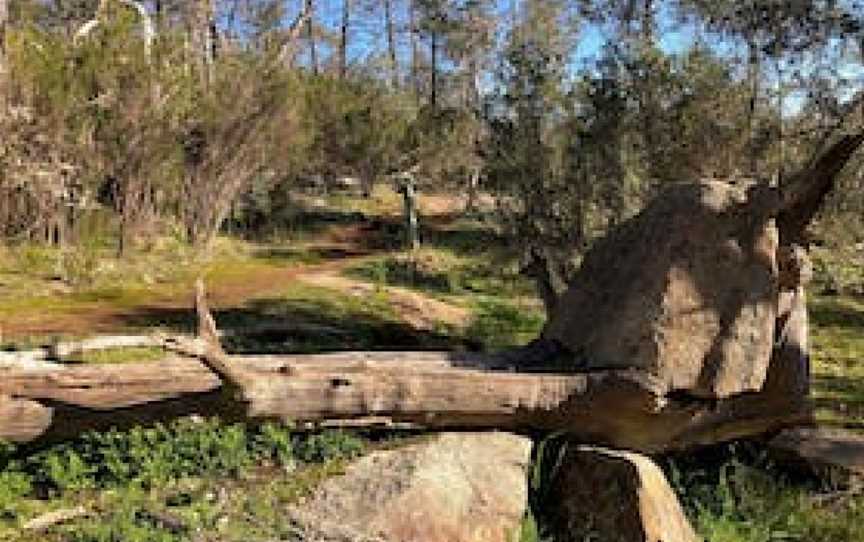 Pine Gully Nature Trail, Boweya, VIC