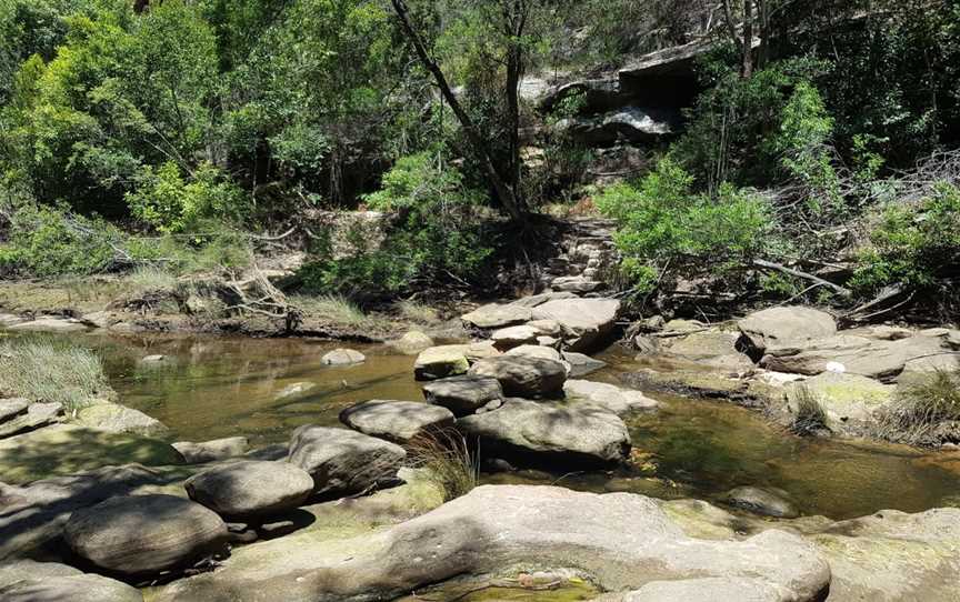 Pipeline and Bungaroo Tracks to Stepping Stones Crossing, St Ives, NSW