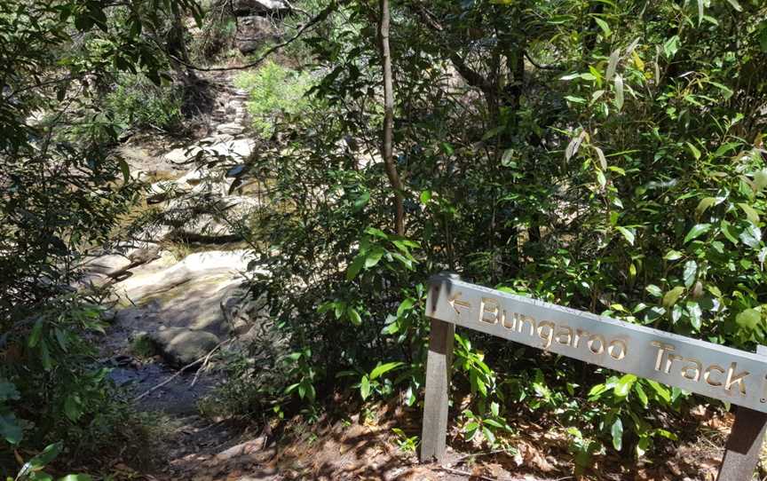 Pipeline and Bungaroo Tracks to Stepping Stones Crossing, St Ives, NSW