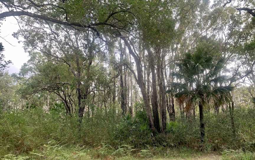 Pipers Creek picnic area, Hawks Nest, NSW