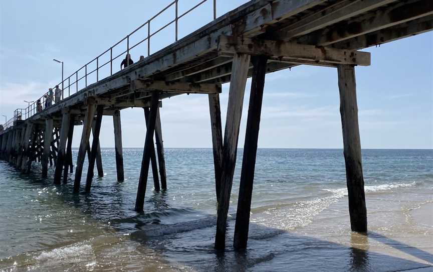 Port Noarlunga Reef, Port Noarlunga, SA