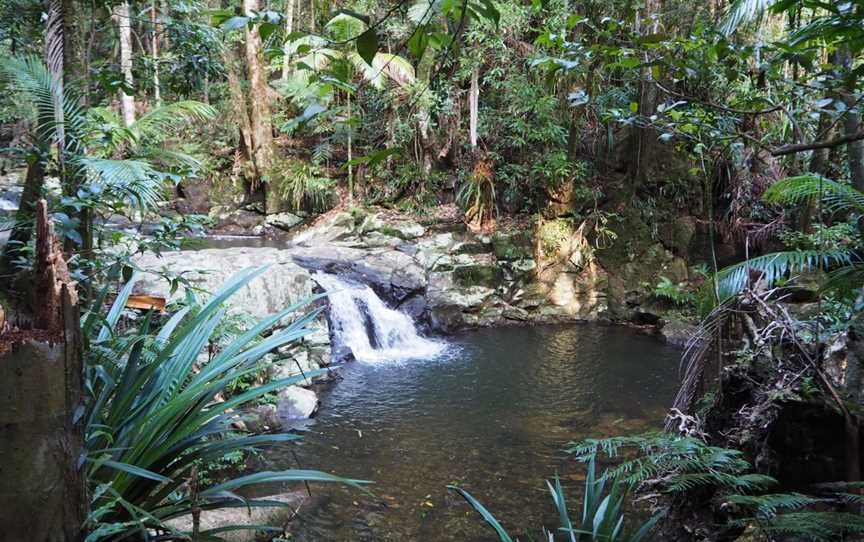 Protesters Falls Walking Track, The Channon, NSW