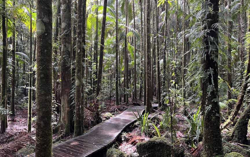 Protesters Falls Walking Track, The Channon, NSW