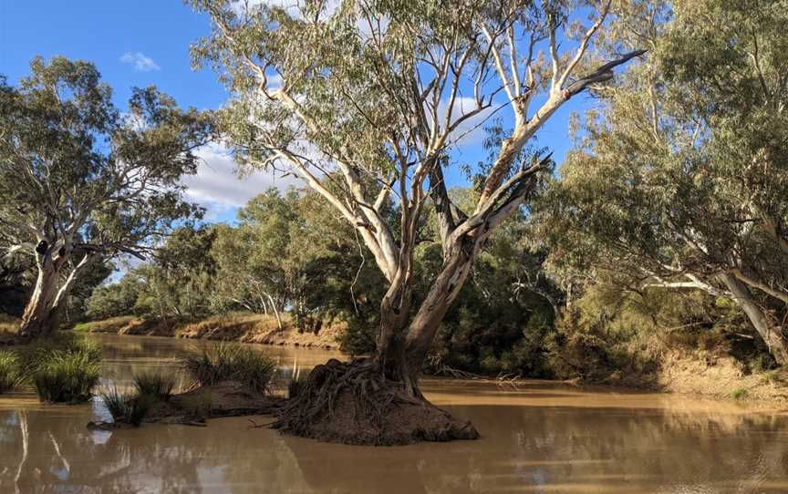 Quilpie River Walk, Quilpie, QLD