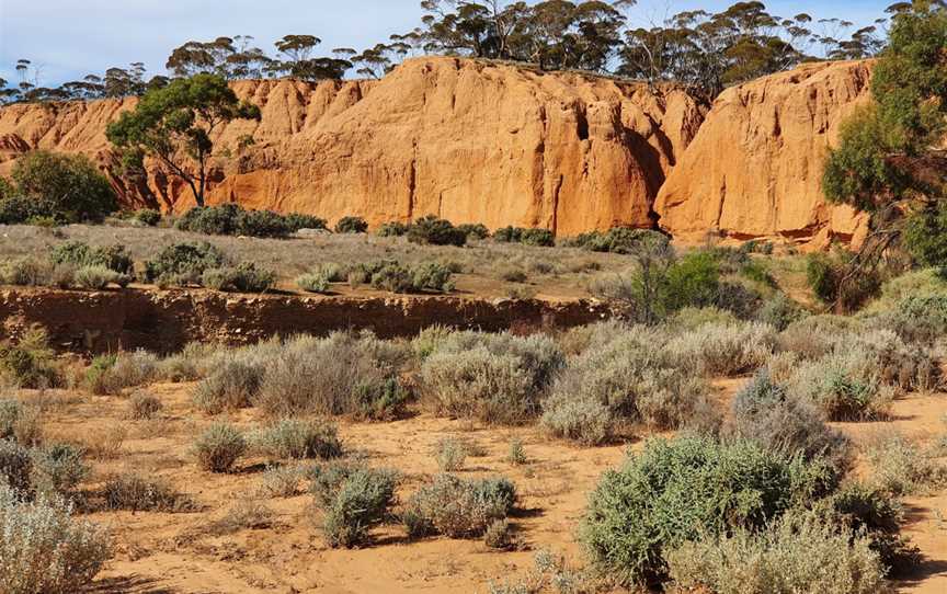 Red Banks Conservation Park, Baldina, SA