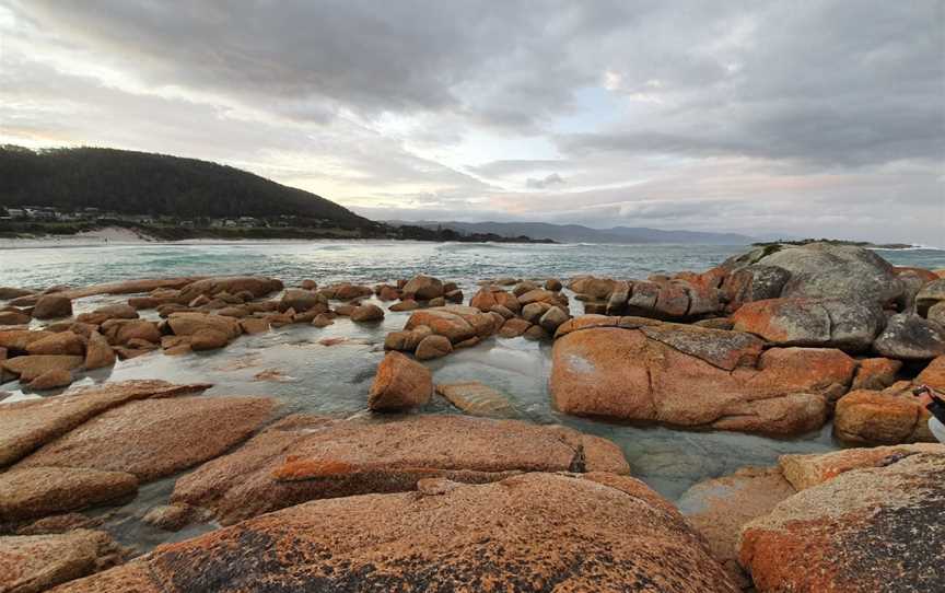 Redbill Beach, Nature & Trails in Bicheno