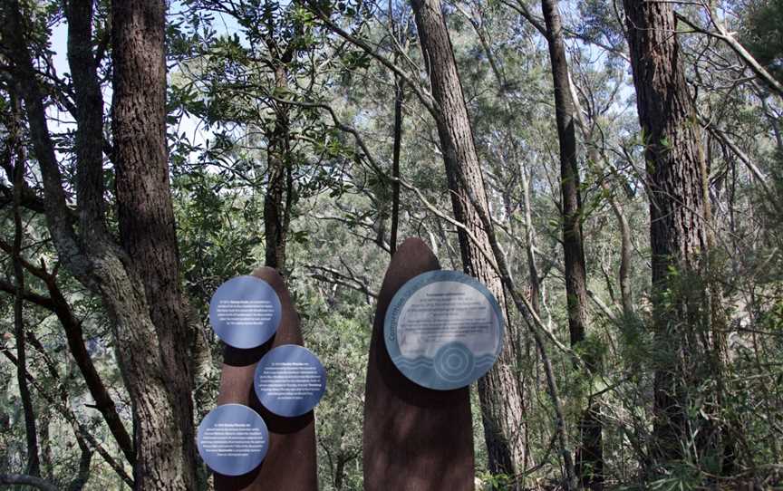 Richardson lookout, Fitzroy Falls, NSW