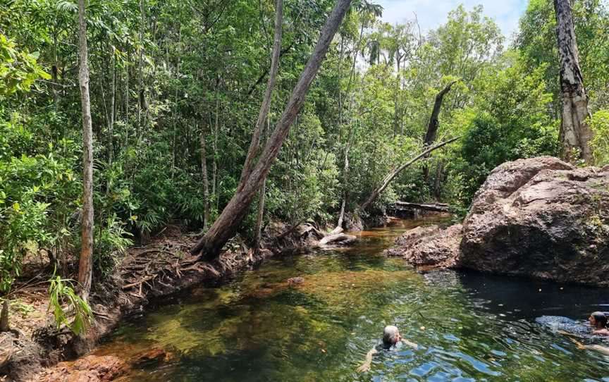 Rockhole, Litchfield Park, NT