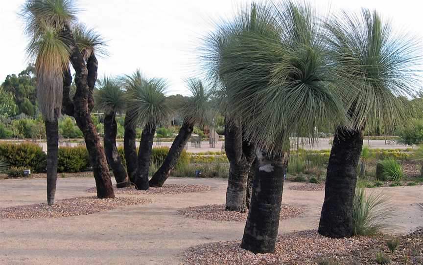 Royal Botanic Gardens Victoria, Cranbourne Gardens, Cranbourne, VIC