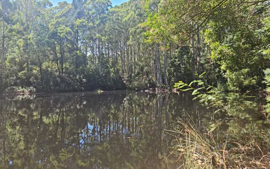 Sanatorium Picnic Ground, Mount Macedon, VIC