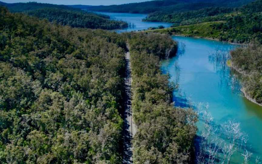 Sarabah National Park, Canungra, QLD