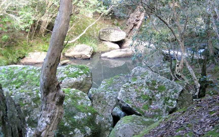 She-Oak Crossing Walk, North Nowra, NSW