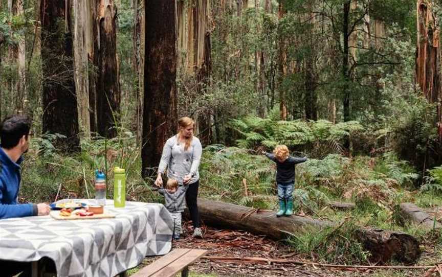 Sherbrooke Forest, Sherbrooke, VIC