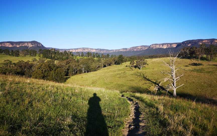 Six Foot Track, Blue Mountains National Park, NSW