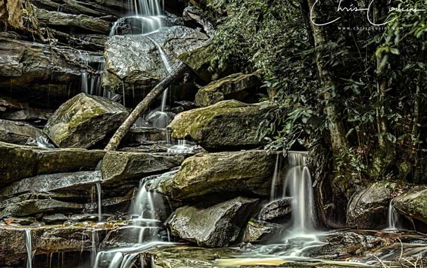 Somersby Falls walking track, Somersby, NSW