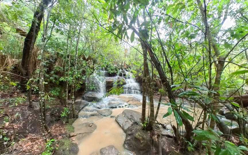 Somersby Falls walking track, Somersby, NSW