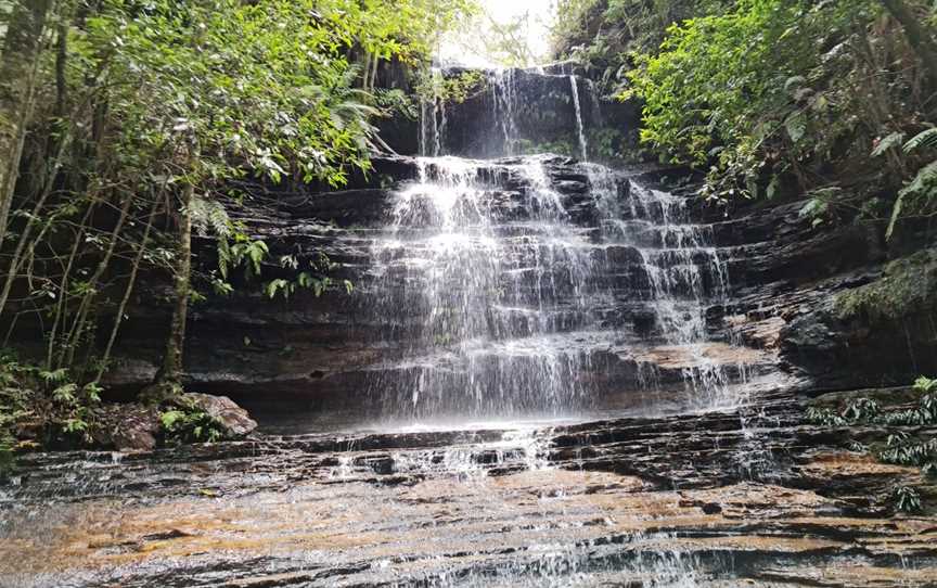 South Lawson Waterfall Circuit, Lawson, NSW