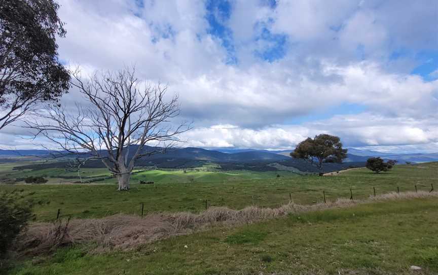 Southern Cloud Lookout, Maragle, NSW