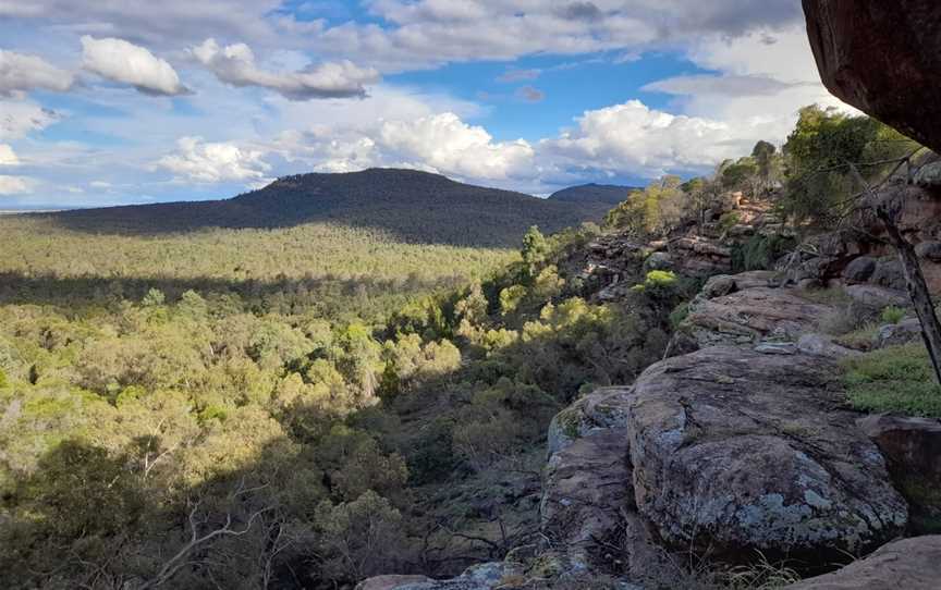 Spring Hill picnic area, Binya, NSW