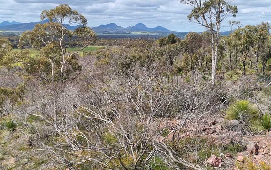 Sukey Hill Lookout, Cranbrook, WA