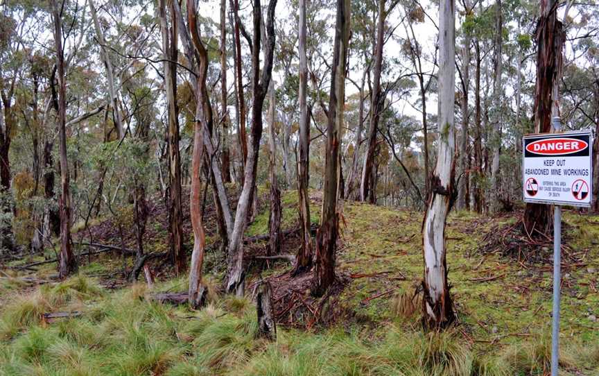 Sunny Corner State Forest, Sunny Corner, NSW