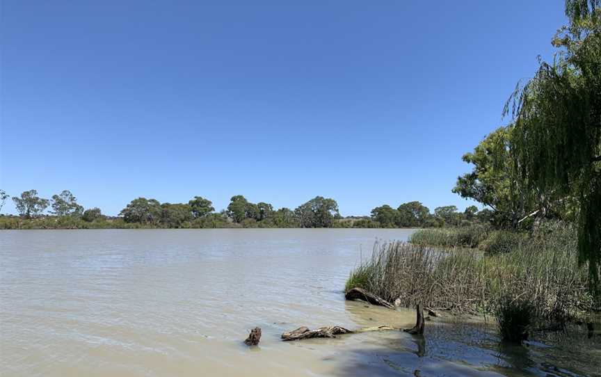 Swanport Wetlands, Monteith, SA