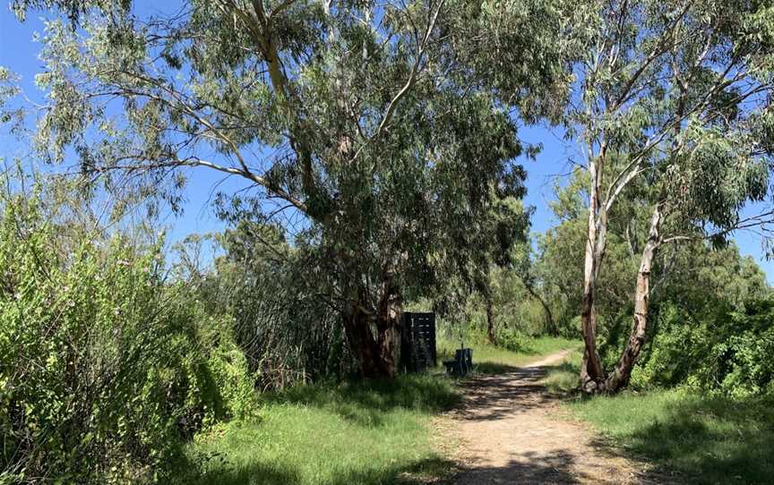 Swanport Wetlands, Monteith, SA