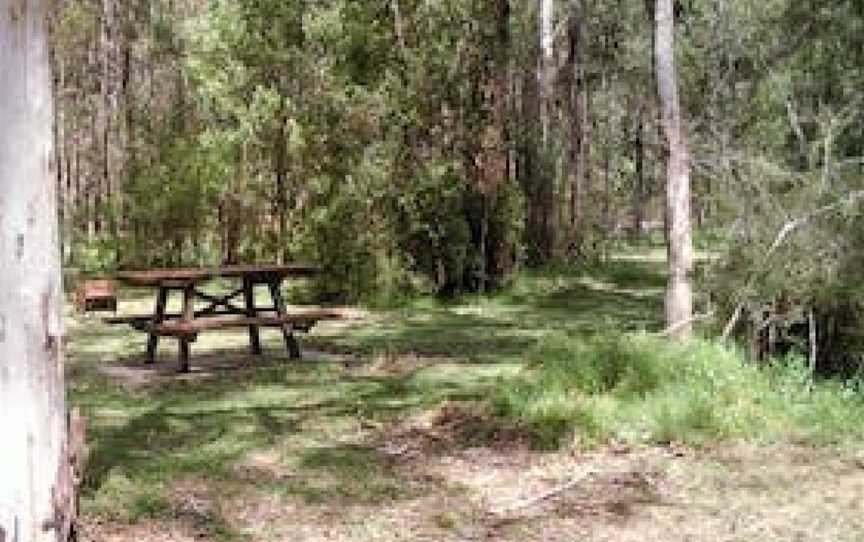 Tallaganda National Park, New South Wales, Australia, Palerang, NSW