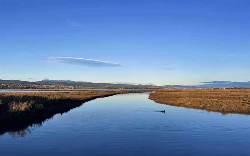 Tamar Island Wetlands Centre and Reserve, Riverside, TAS