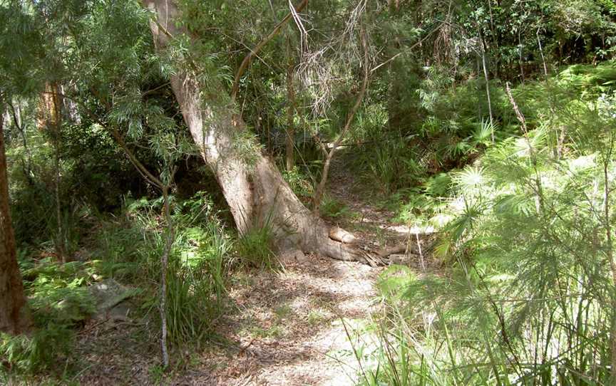 The Basin picnic area, Ku-Ring-Gai Chase, NSW