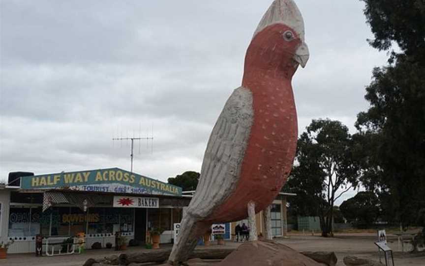 The Big Galah, Kimba, SA