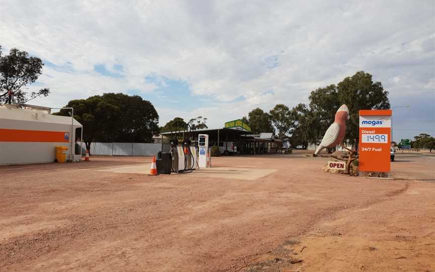 The Big Galah, Kimba, SA