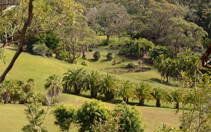 The Coast Walking Track, Forresters Beach, NSW