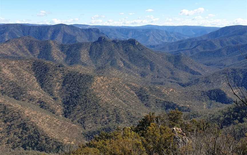 The Green Gully Track, Yarrowitch, NSW