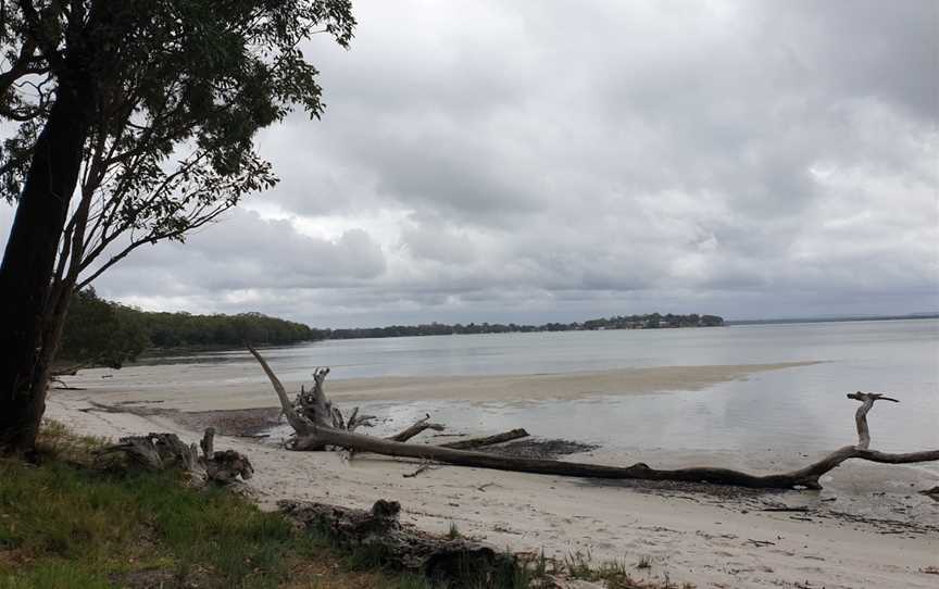 Tilligerry Habitat, Tanilba Bay, NSW