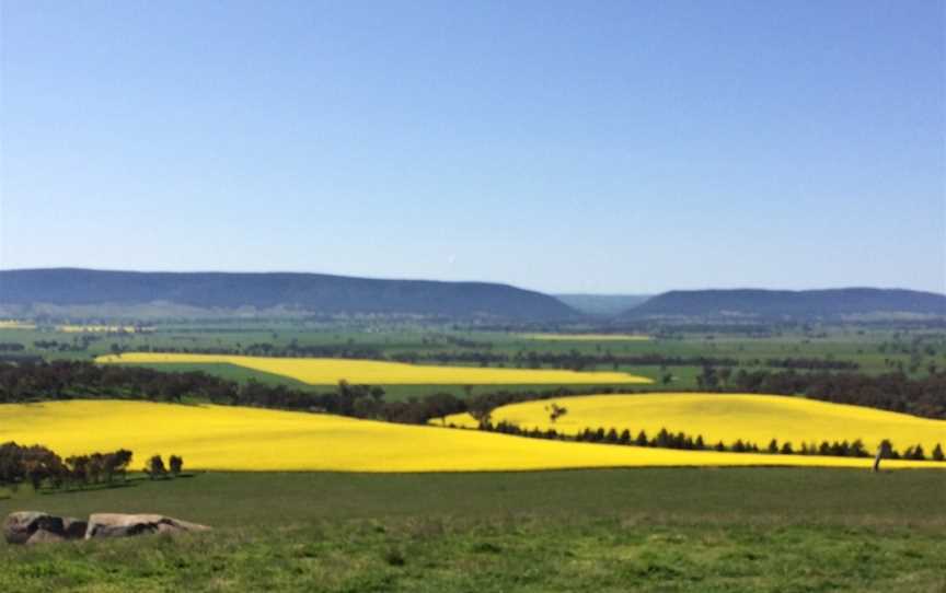 Touts Lookout, Monteagle, NSW