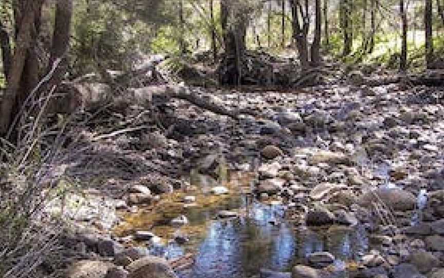 Upper Bullawa Creek picnic area, Kaputar, NSW