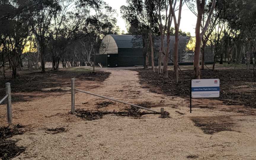 Urana Free Flight Bird Aviary, Urana, NSW