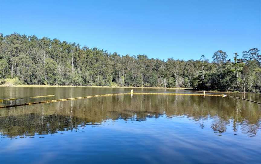 Walkabout Creek Discovery Centre, Enoggera Reservoir, QLD