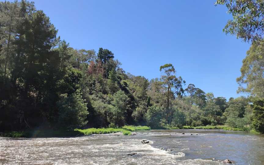 Warrandyte River Reserve, Warrandyte, VIC