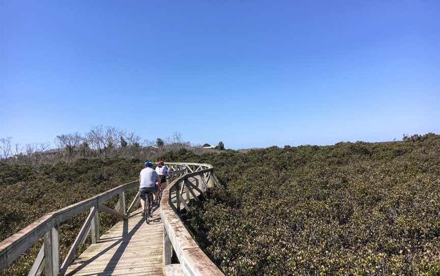 Western Port Bay Trail, Balnarring, VIC