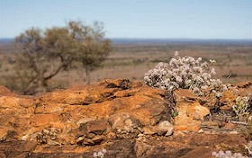 Western Ridge Walk, Mutawintji, NSW