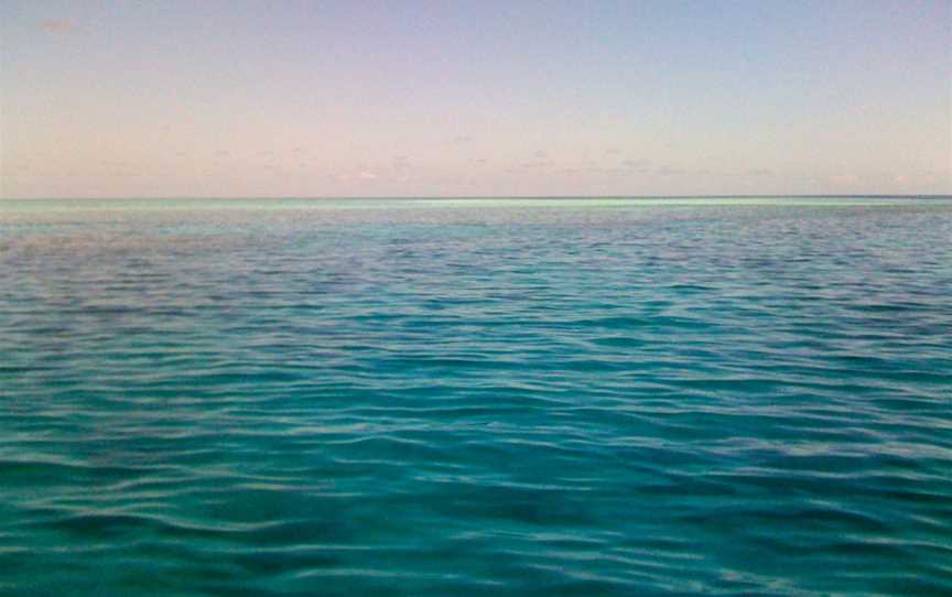 Wheeler Reef Dive Site, Railway Estate, QLD